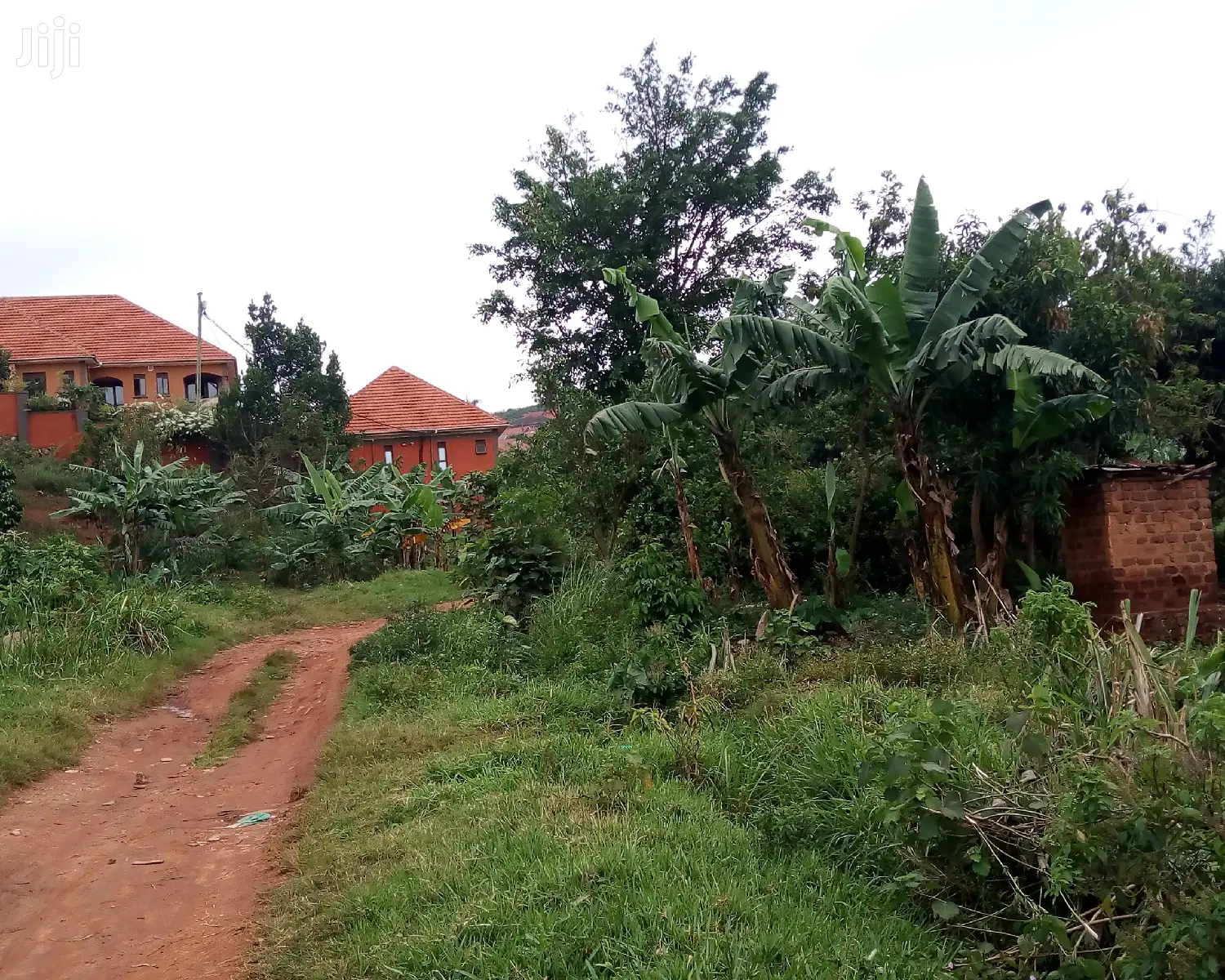 Kisasi Plot Is for Sale