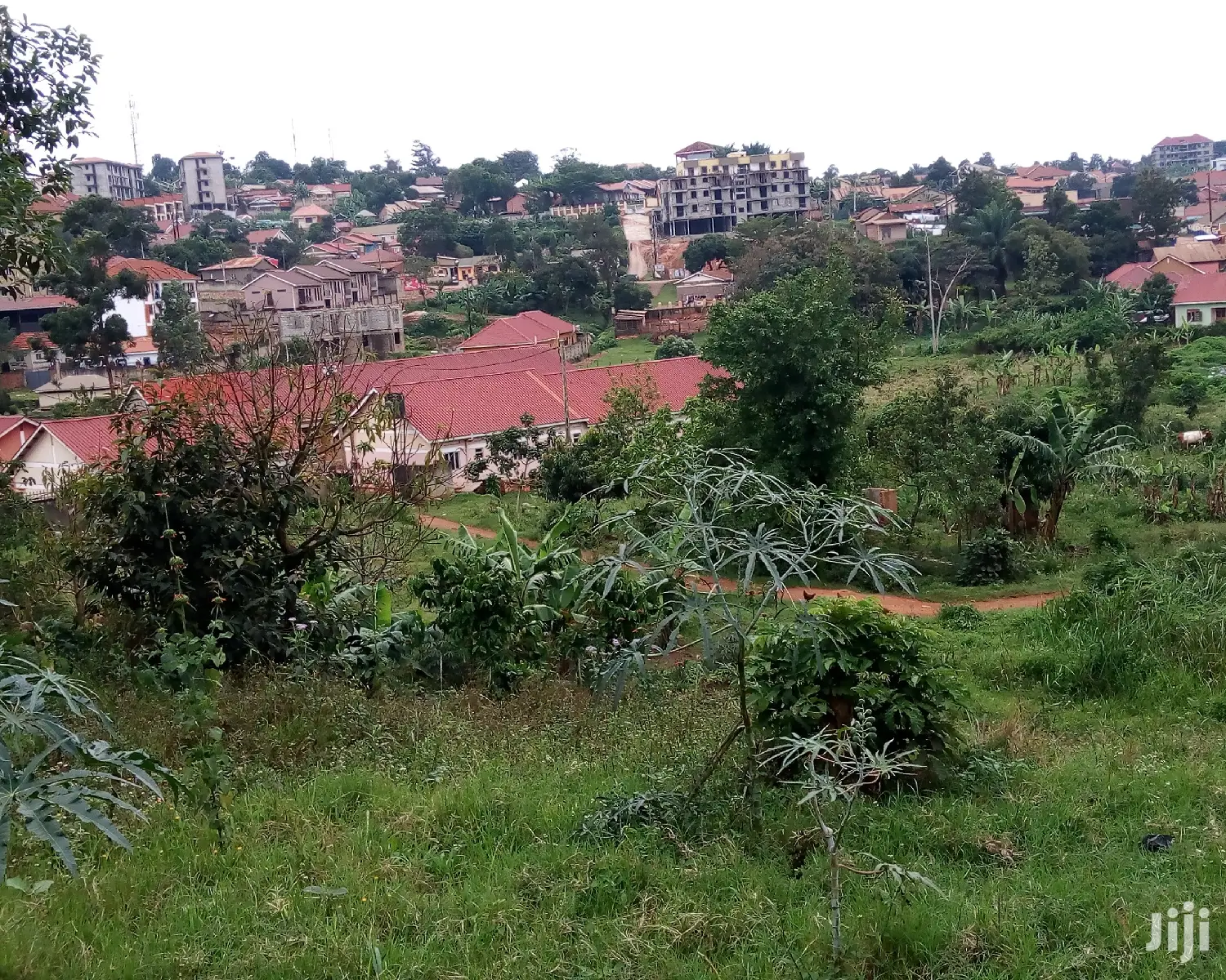 Kisasi Plot Is for Sale