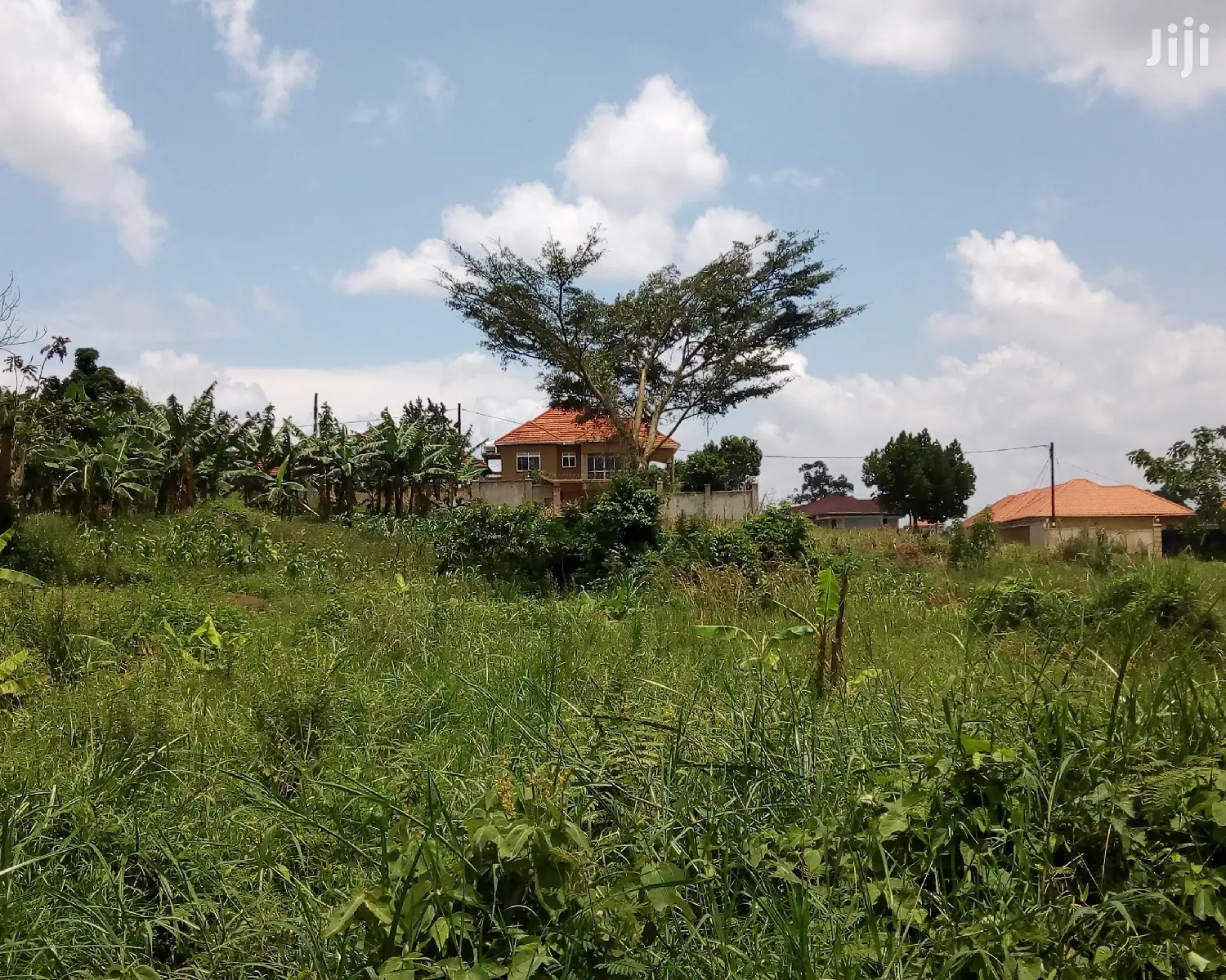 20 Decimals Land for Sale in Kungu