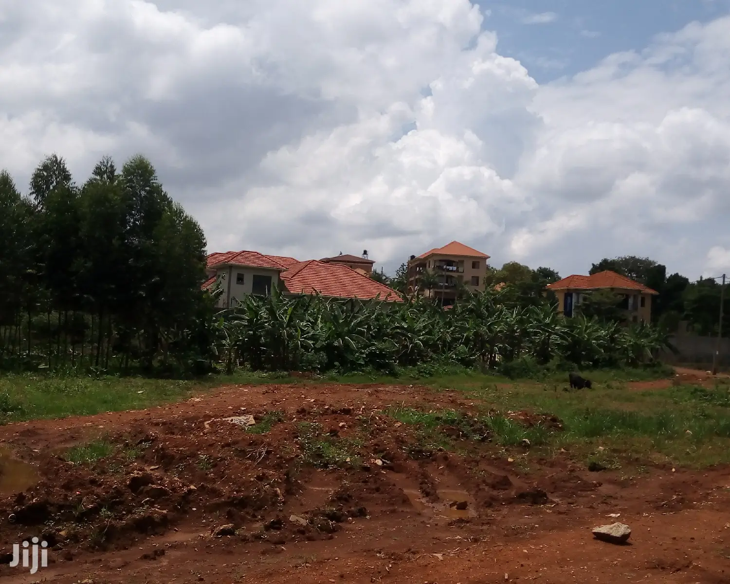 20 Decimals Land for Sale in Kungu