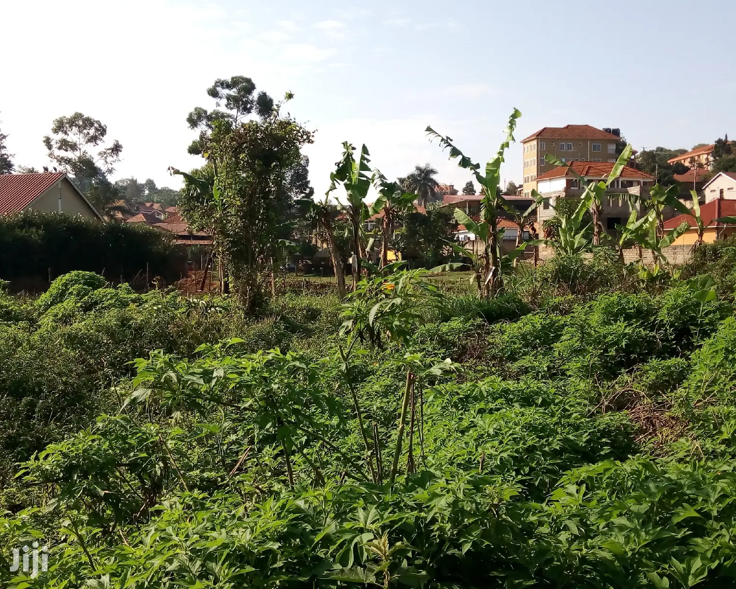 30 Decimals Land For Sale In Kungu