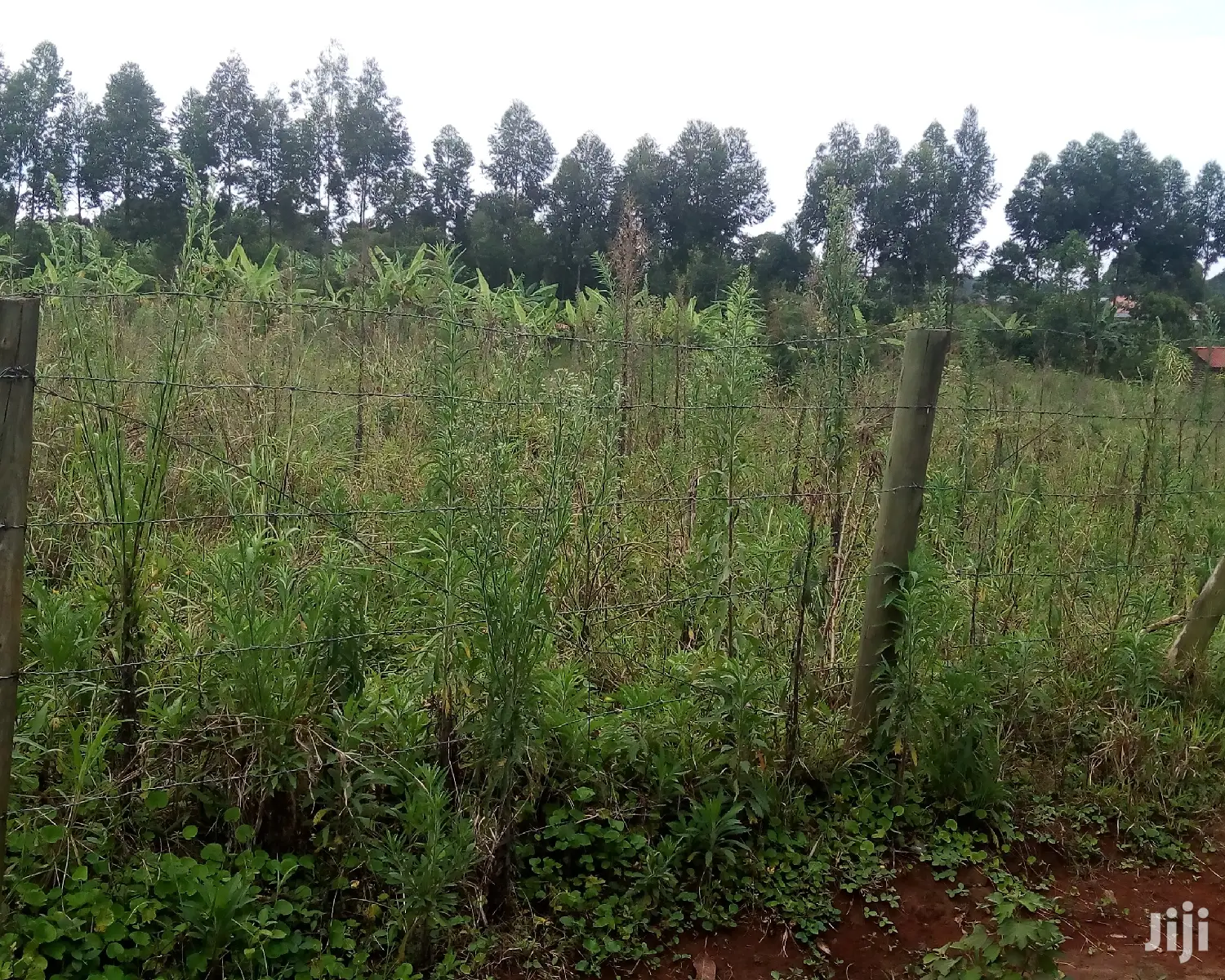 30 Decimals Land For Sale In Kungu
