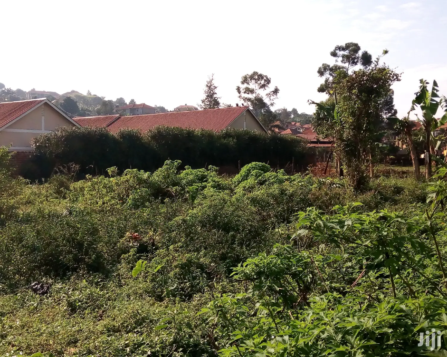 30 Decimals Land For Sale In Kungu