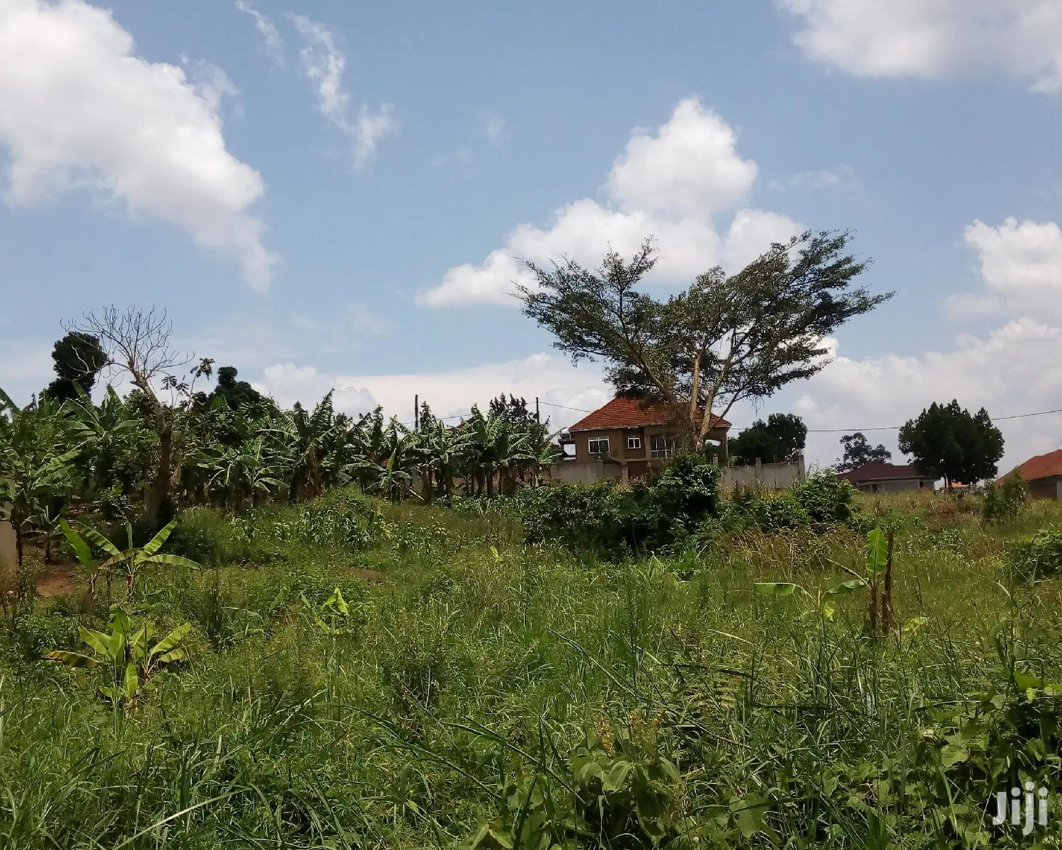 30 Decimals Land For Sale In Kungu