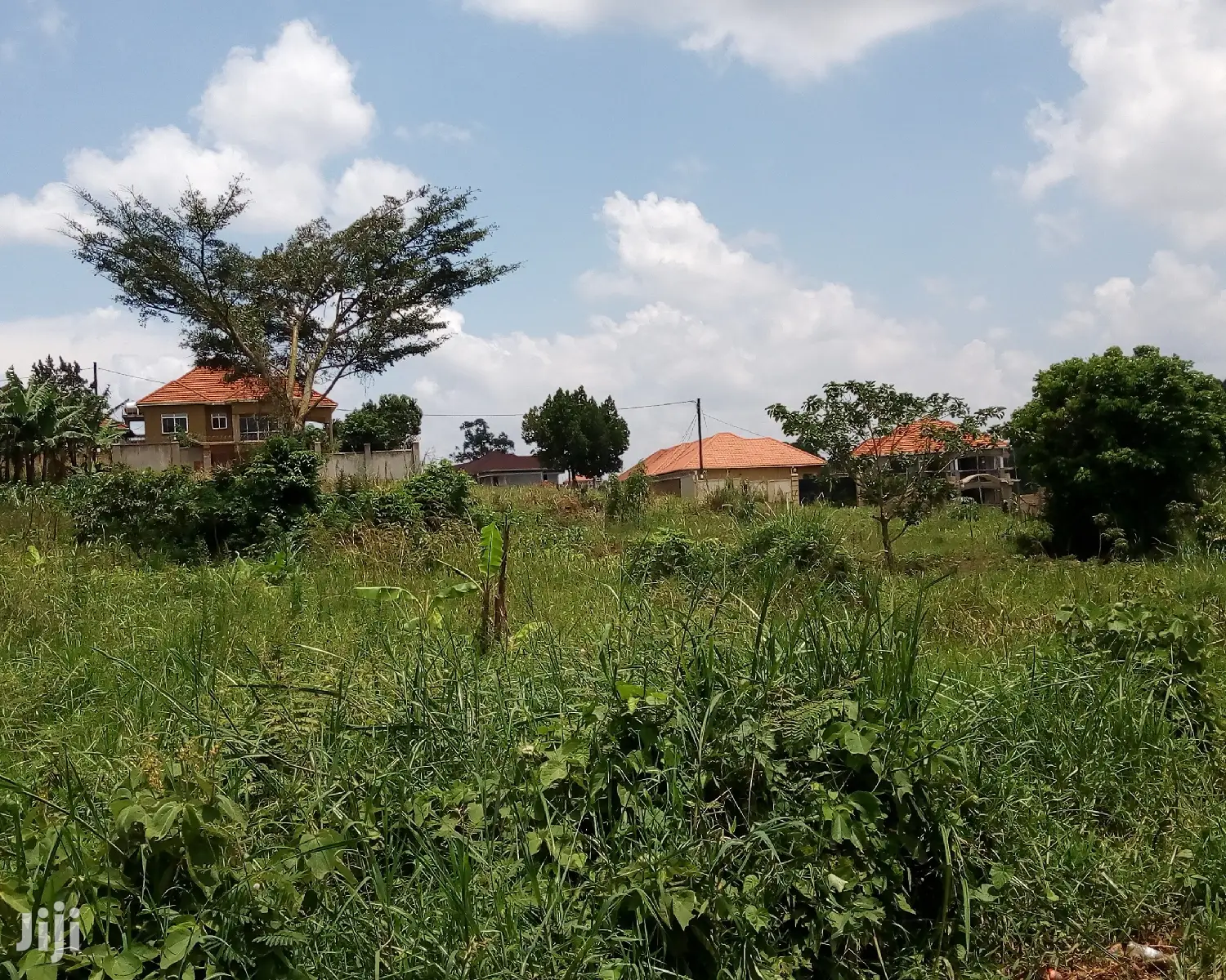30 Decimals Land For Sale In Kungu