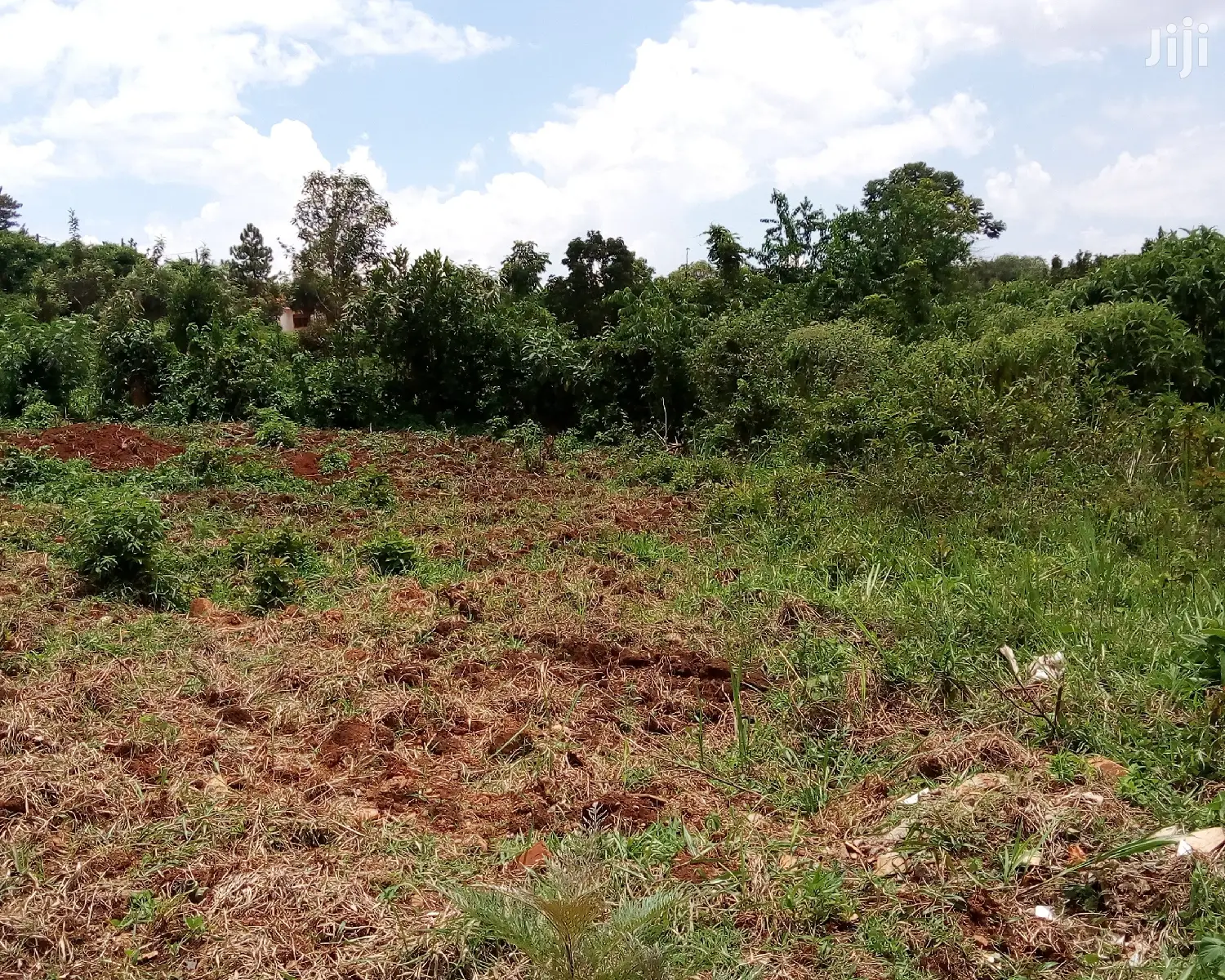 30 Decimals Land For Sale In Kungu