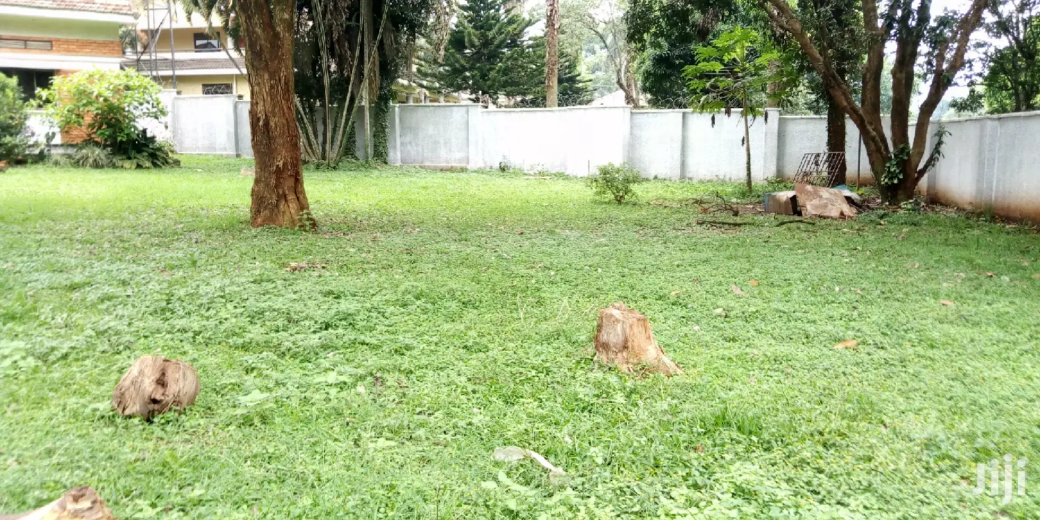 4 Bedroom House In Kololo For Rent