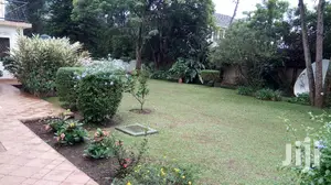 Furnished 4bdrm Duplex in Kololo Property, Kampala for rent