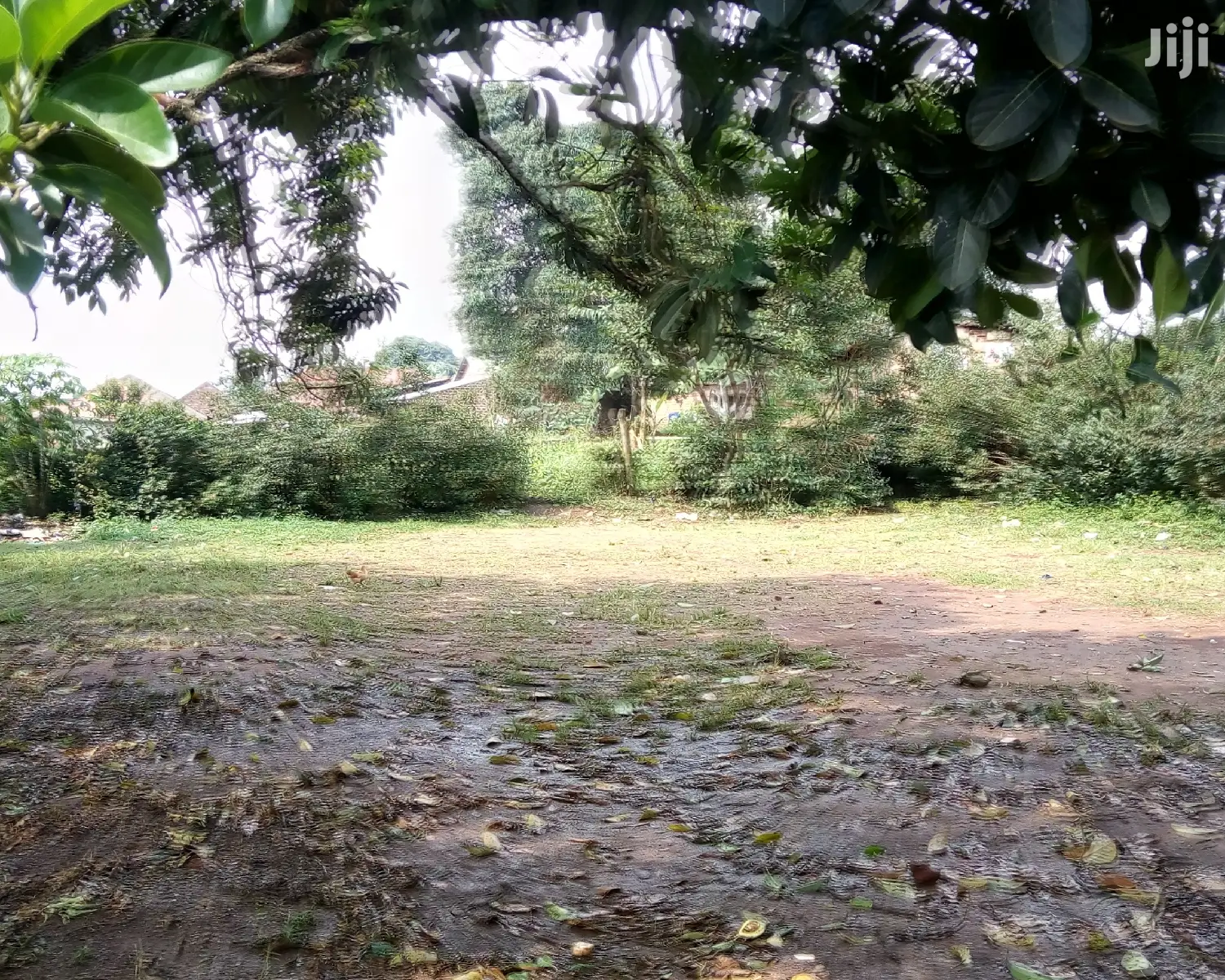 Komamboga Plot Is for Sale