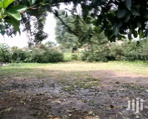 Komamboga Plot Is for Sale