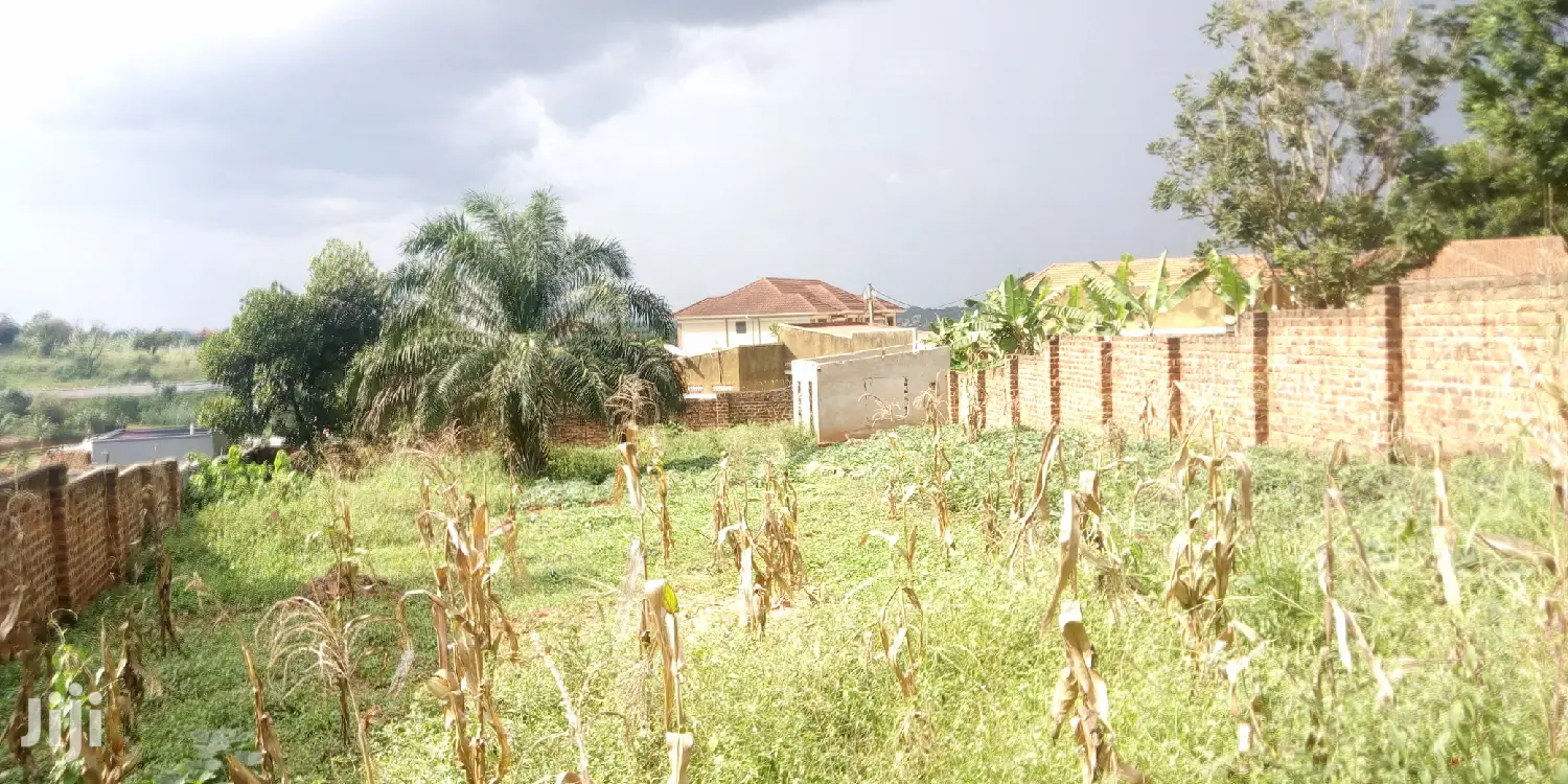 Kyanja Plot Is Available for Sale