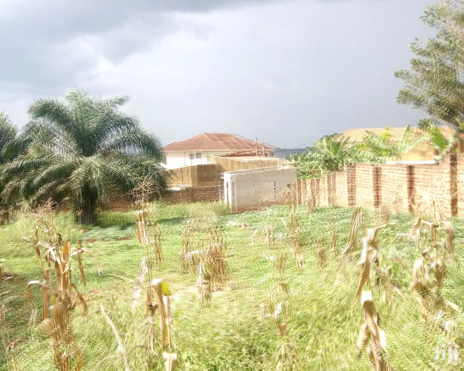 Kyanja Plot Is Available for Sale