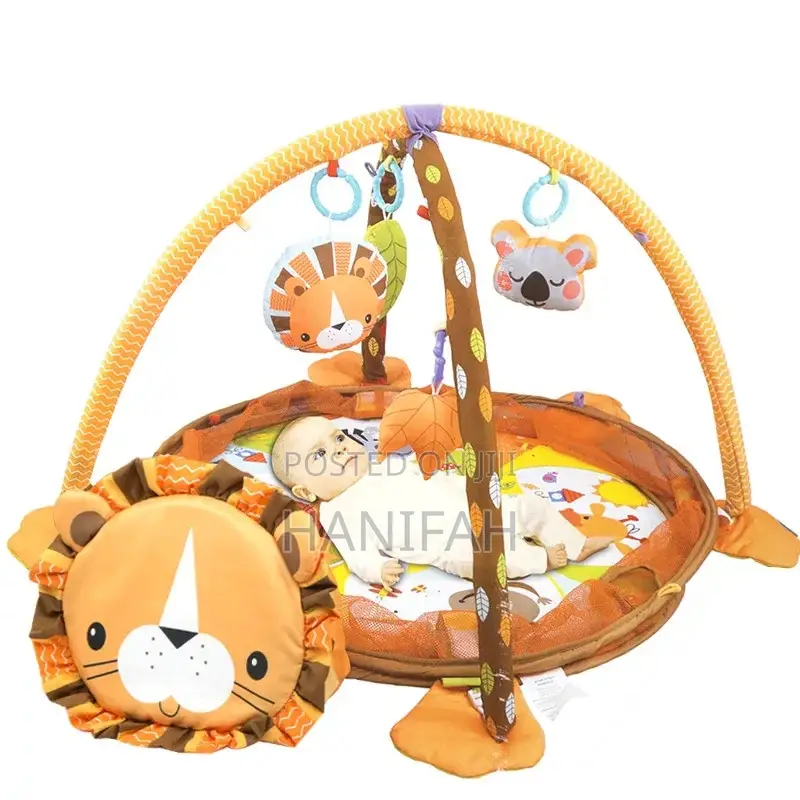 Activity Gym and Ball Pit
