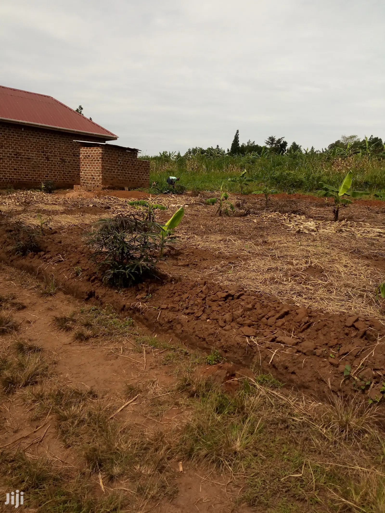 Plot for Sale 100x40ft Lukwaga Bukugulu Setema Road