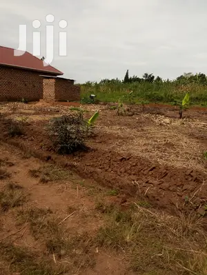 Plot for Sale 100x40ft Lukwaga Bukugulu Setema Road