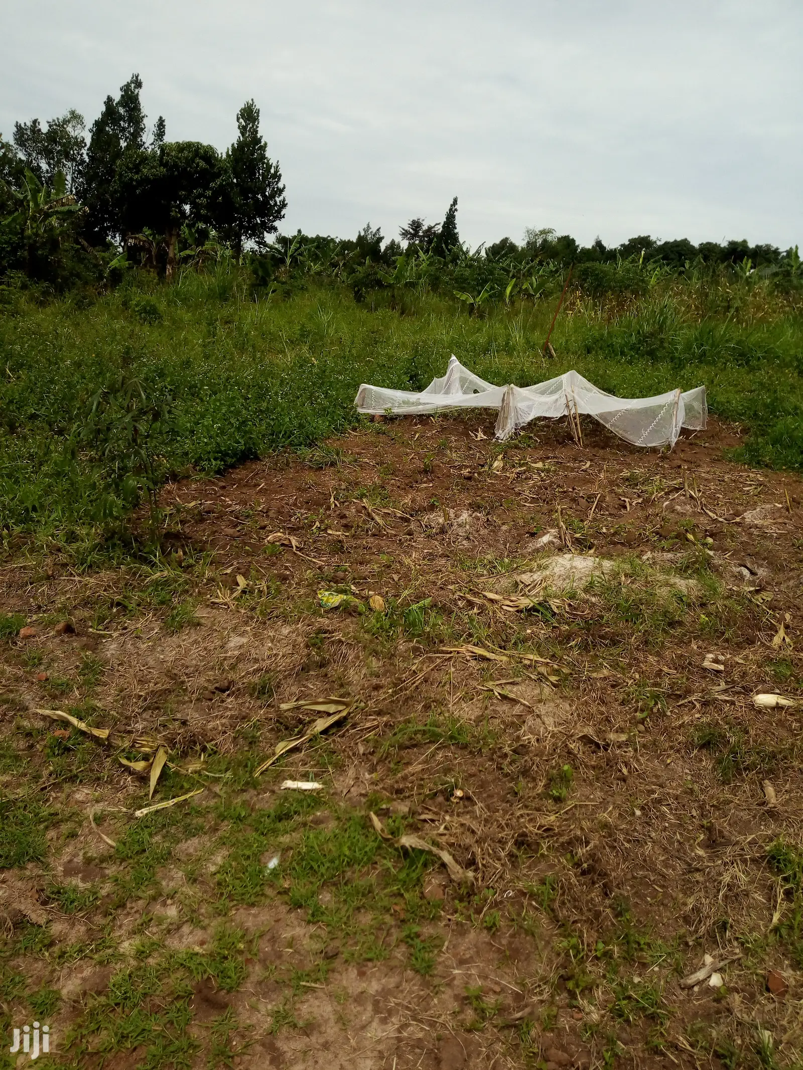 2 Acres Land for Sale on Hoima Road