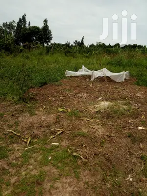 2 Acres Land for Sale on Hoima Road