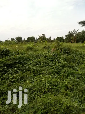 Land for 3acres at Luwero Kikyusa
