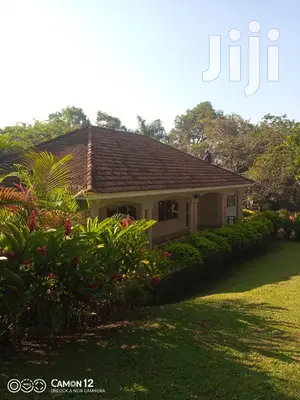 Expert Roof Cleaning Services for a Clean Roof and Happy Home.