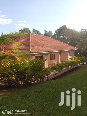 Expert Roof Cleaning Services for a Clean Roof and Happy Home.