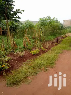 Plots for Sale in Wakiso