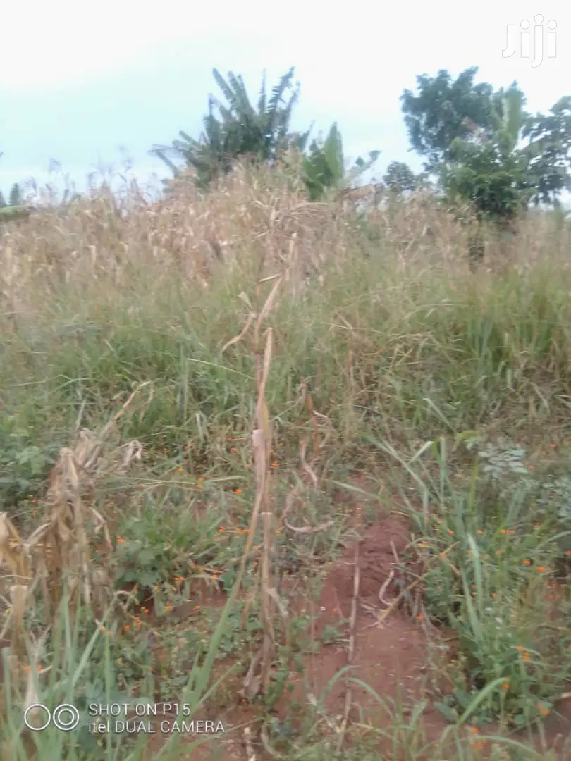 Plot for Sale in Wakiso Gobero