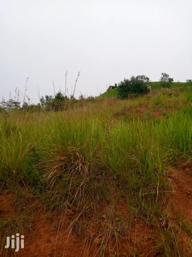 Plot for Sale in Wakiso Gobero
