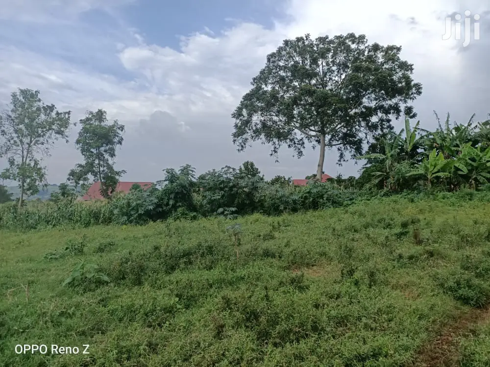 Plot for Sale in Wakiso Gobero