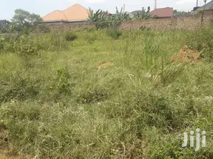 Plots Is Available for Sale in Wakiso