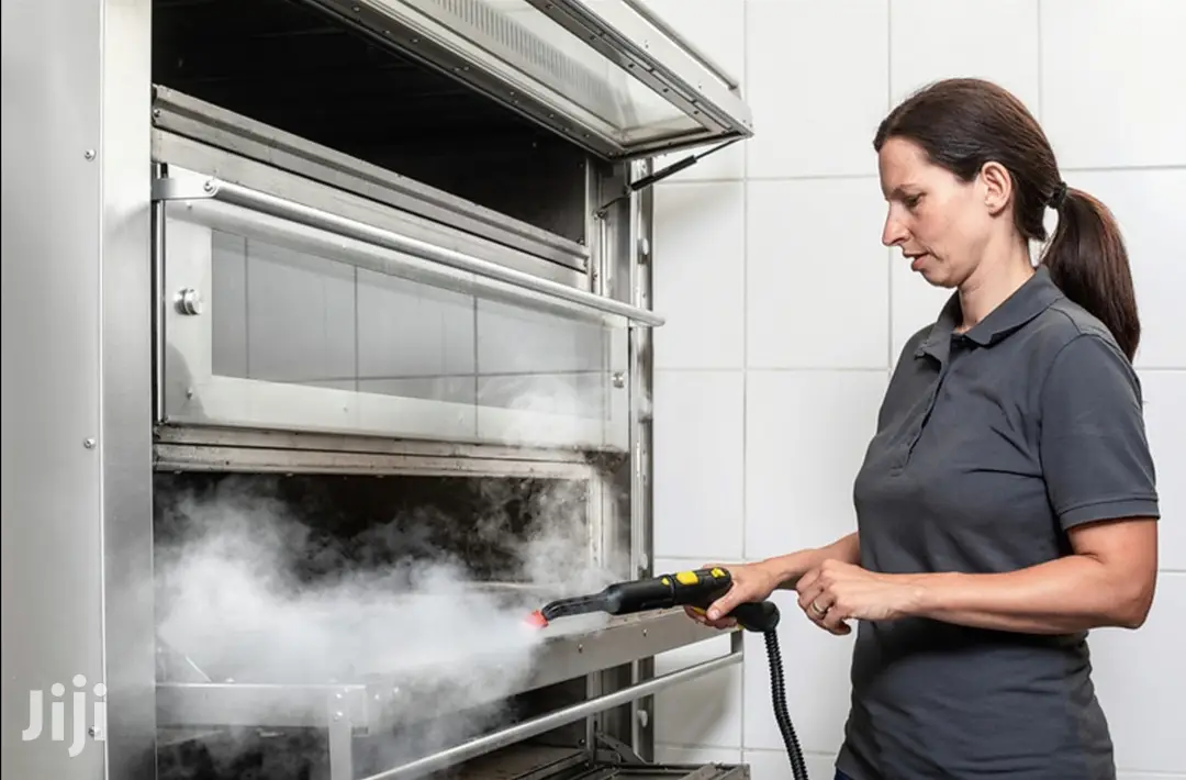 German Karcher Professional Steam Cleaner And Disinfectant