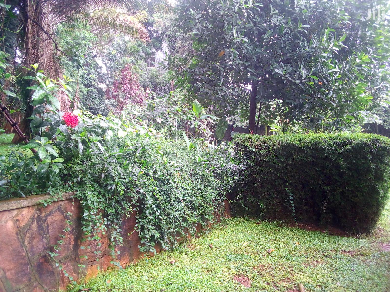 Three Bedroom House In Kololo For Rent