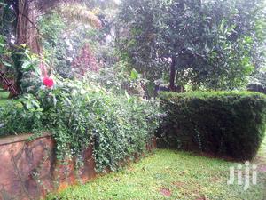 Three Bedroom House In Kololo For Rent
