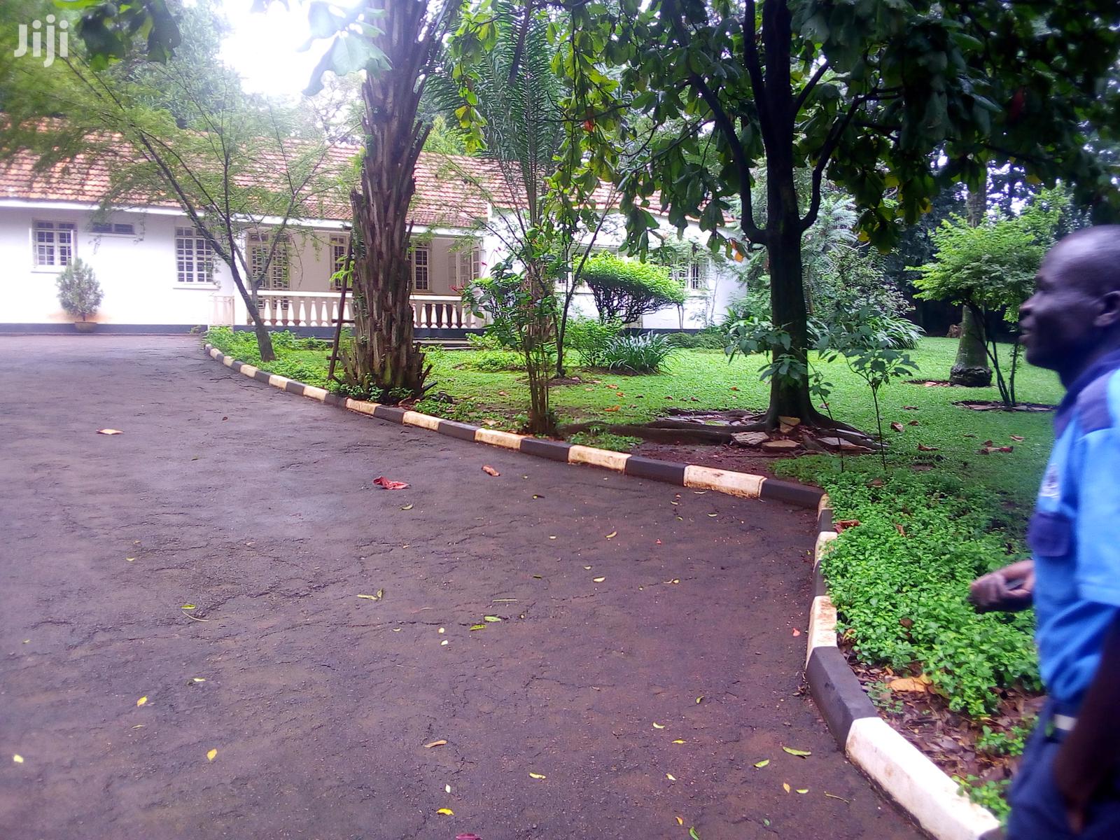 Three Bedroom House In Kololo For Rent