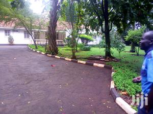 Three Bedroom House In Kololo For Rent