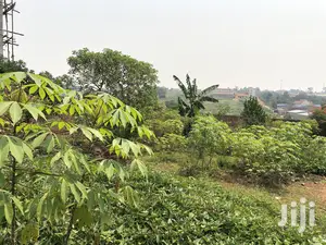 Kiira Kimwani 25 Decimals Near Tarmack Posh Land on Sale
