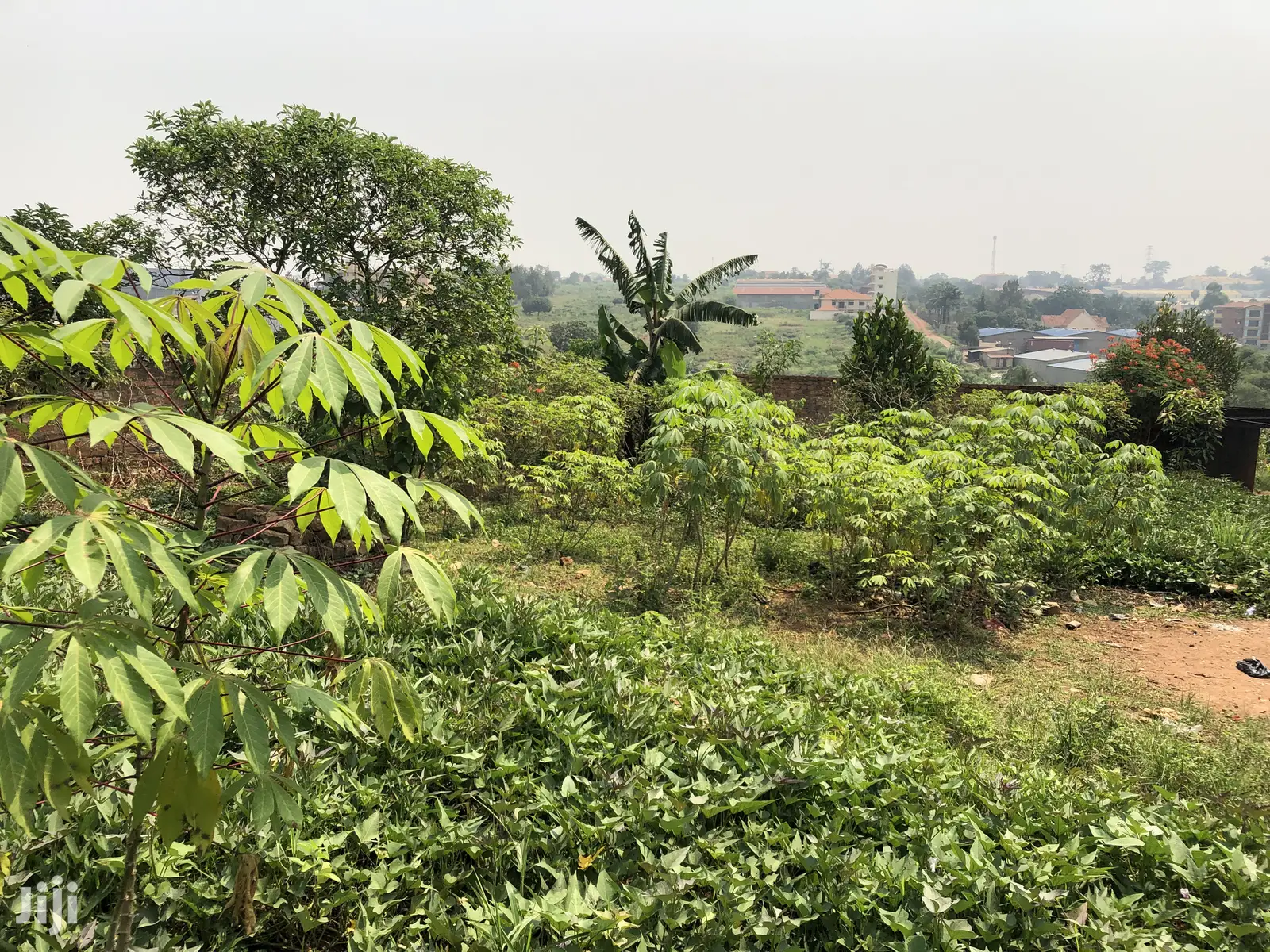 Kiira Kimwani 25 Decimals Near Tarmack Posh Land on Sale