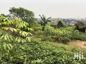 Kiira Kimwani 25 Decimals Near Tarmack Posh Land on Sale