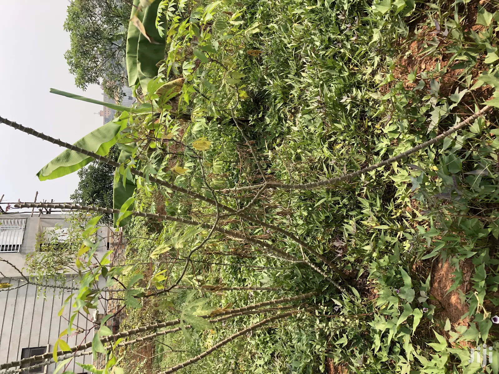 Kiira Kimwani 25 Decimals Near Tarmack Posh Land on Sale