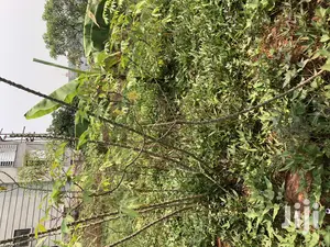 Kiira Kimwani 25 Decimals Near Tarmack Posh Land on Sale