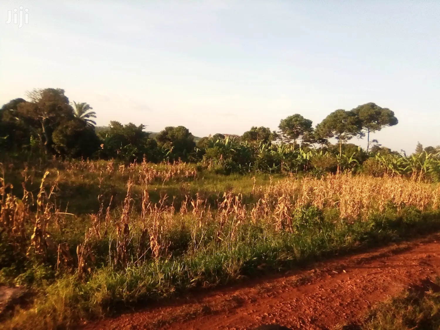 Land for N Namulesa