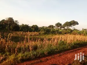 Land for N Namulesa