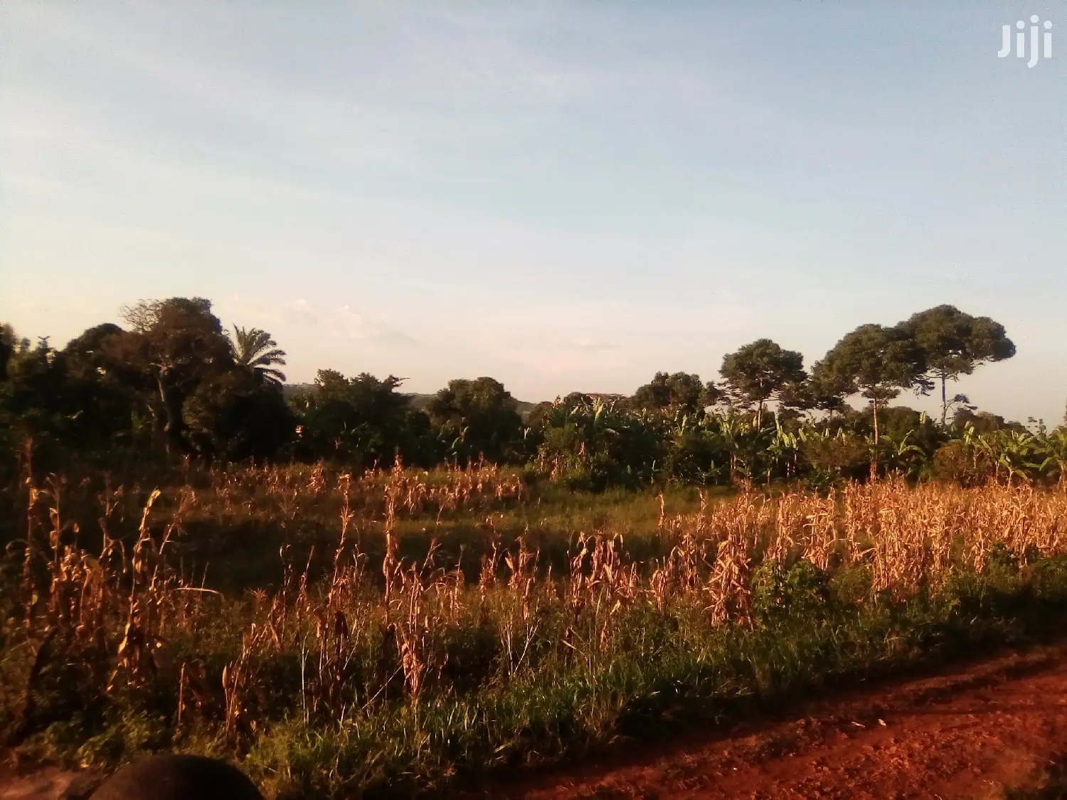 Land for N Namulesa