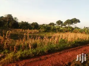 Land for N Namulesa