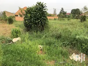 Kira Kimwani Near the Tarmack 25 Dec Plot on Sell