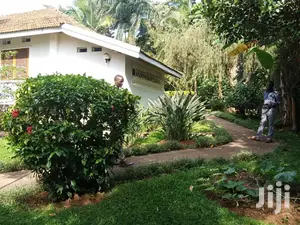 Colonial Bungalow For Rent