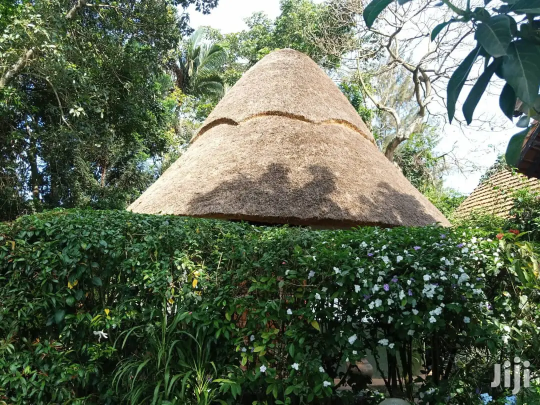 Colonial Bungalow For Rent
