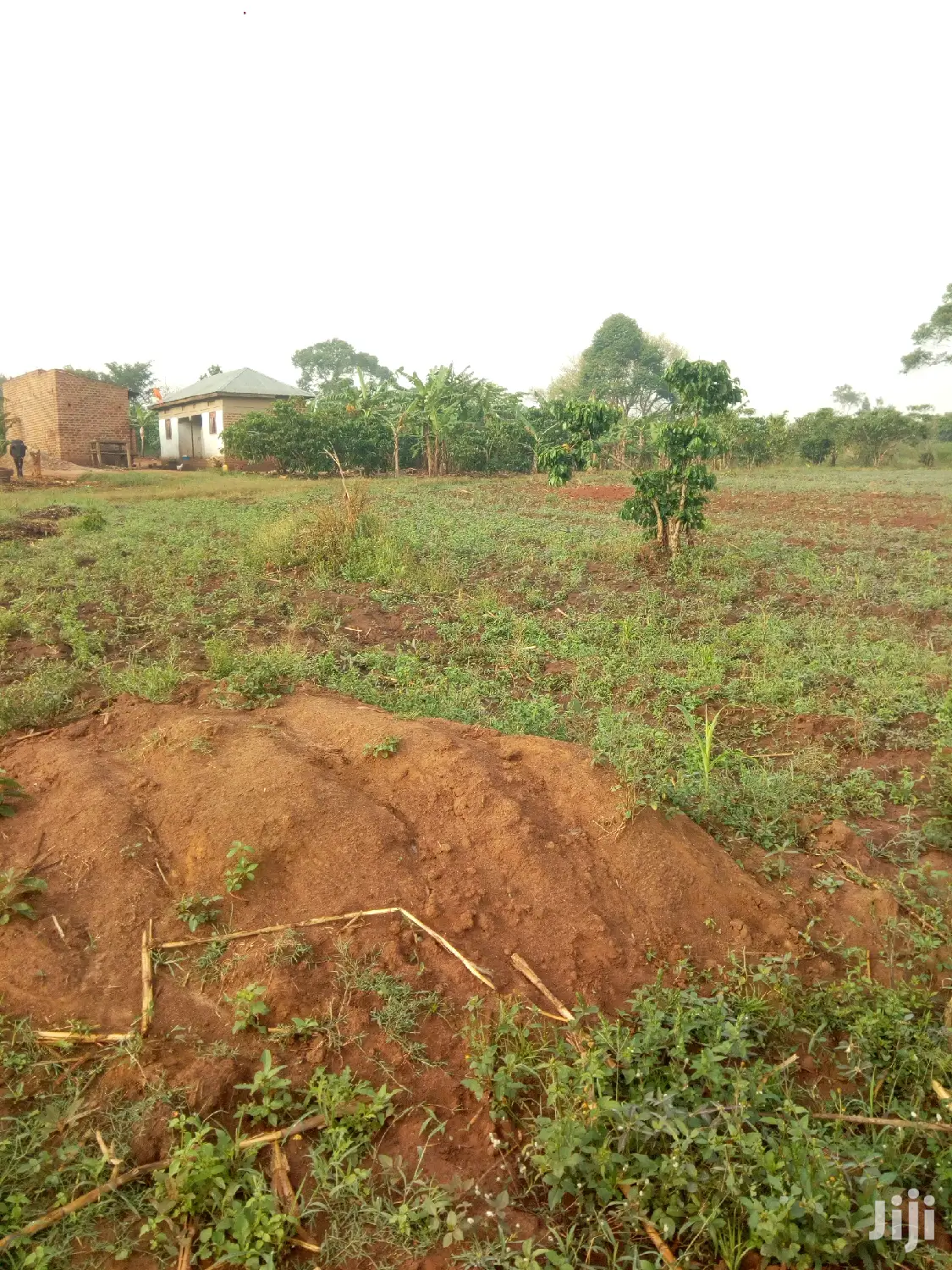 Plots on Sale in Kananage Estate Kamuli Town 50fts by 100 Ft in Kamuli
