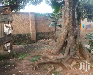 Kyebando Bukoto Plot Is Available for Sale