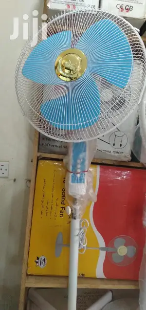 Evernal Stand Fan