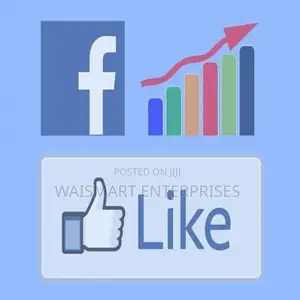 1,000 Youtube,Intsagram,Twitter Facebook Likes in 48 Hours